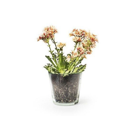 Eco Glastopf für Blumen aus Recyclingglas Modell Laura Glasvase Geschenkidee Dekoidee