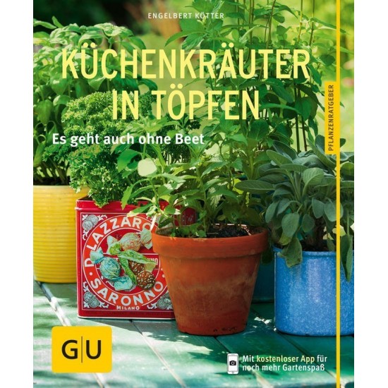 Küchengräuter in Töpfen