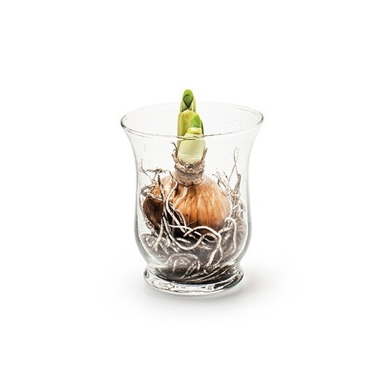 Deko Vase "Hurricane" Glas 