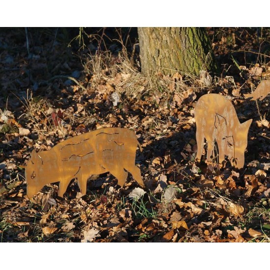 Wildschwein, Fasan und Auerhahn Frischlinge als Gartenstecker - 2er Set - Höhe 30 cm + Stab 
Frischlinge zum Stecken
2 verschi